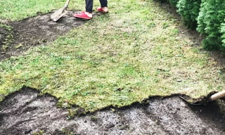 Снятие дерна старого газона в Домодедово – от 524 руб. | ИП Садыков В. Р.